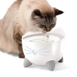 Catit Pixi Cat Drinking Fountain - Stainless Steel -Pet Supplies I9678302 en 09 44170.1710539927.386.513