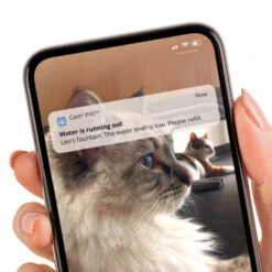 Catit Pixi Cat Smart Drinking Fountain -Pet Supplies I9678304 en 10 26766.1710539928.386.513