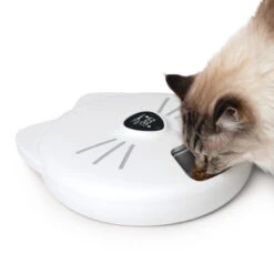 Catit Pixi Cat Smart 6 Meal Feeder -Pet Supplies I9678306 en 05 64445.1710539931.386.513