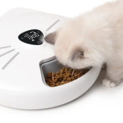 Catit Pixi Cat Smart 6 Meal Feeder -Pet Supplies I9678306 en 06 68711.1710539931.386.513