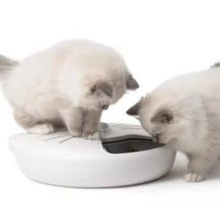 Catit Pixi Cat Smart 6 Meal Feeder -Pet Supplies I9678306 en 09 22167.1710539931.386.513