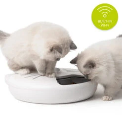 Catit Pixi Cat Smart 6 Meal Feeder -Pet Supplies I9678306 en 11 22308.1710539931.386.513