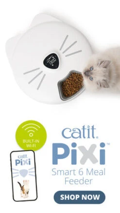 Catit Pixi Cat Smart 6 Meal Feeder -Pet Supplies I9678306 en 13 18577.1710539931.386.513