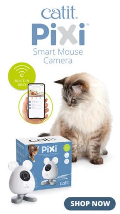 Catit Pixi Cat Smart Mouse Camera -Pet Supplies I9678309 en 16 36303.1710539932.386.513