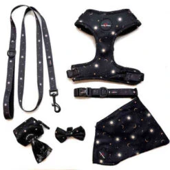 Long Paws Funk The Dog Night Sky Adjustable Dog Collar - Black 6 Long Paws Funk The Dog Night Sky Adjustable Dog Collar - Black -Pet Supplies I9684304 en 03 45239.1710539945.386.513