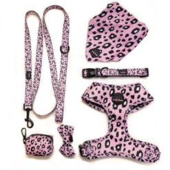 Long Paws Funk The Dog Leopard Dog Lead - Pink 6 Long Paws Funk The Dog Leopard Dog Lead - Pink -Pet Supplies I9684310 en 03 63541.1710539946.386.513