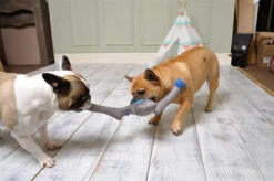 Ministry Of Pets Yan The Yeti Plush Rope Dog Toy -Pet Supplies I9695662 en 03 50565.1710540010.386.513