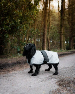 Danish Design Grey & Black 2 In 1 Ultimate Dog Coat -Pet Supplies I9695707 en 05 77745.1710540021.386.513