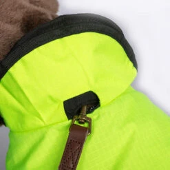 Danish Design Hi Viz 2 In 1 Ultimate Dog Coat 7 Danish Design Hi Viz 2 In 1 Ultimate Dog Coat -Pet Supplies I9695708 en 03 46826.1710540019.386.513