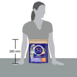 Purina One Coat & Hairball Adult Dry Cat Food Rich In Chicken -Pet Supplies I9696961 en 04 15351.1710540029.386.513