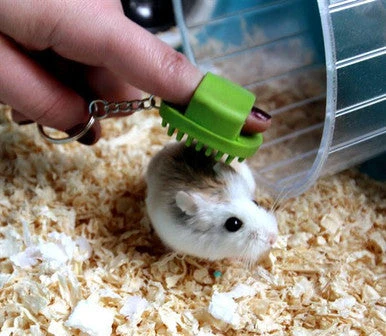 Pet Brands Natural Finger Groomer For Small Animal 2 Pet Brands Natural Finger Groomer For Small Animal - Image 2