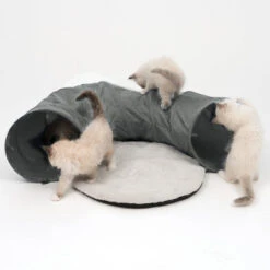 Catit Vesper Tunnel With Sleeping Cushion Cat Toy -Pet Supplies I9700282 en 14 68771.1710540025.386.513