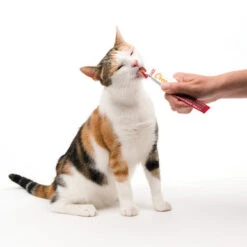 Catit Creamy Lickable Multipack Cat Treats 18 Catit Creamy Lickable Multipack Cat Treats -Pet Supplies I9700291 en 13 18798.1710540020.386.513