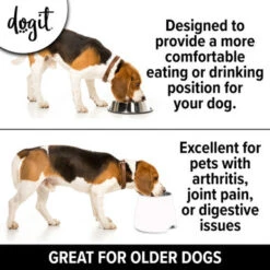 Dogit Elevated Dish Large Dog Bowl -Pet Supplies I9700299 en 03 80206.1710540026.386.513