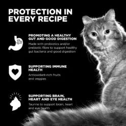 Go! Skin + Coat Care Chicken Recipe With Grains For Cats -Pet Supplies I9710281 en 05 scaled