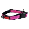 KONG Adjustable Fuchsia Dog Collar