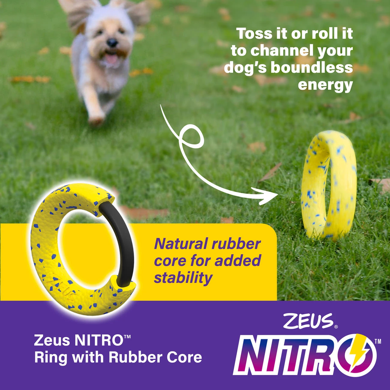 Zeus Nitro Weighted Ring Dog Toy 4 Zeus Nitro Weighted Ring Dog Toy - Image 4