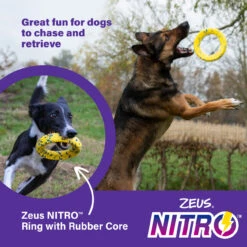 Zeus Nitro Weighted Ring Dog Toy 13 Zeus Nitro Weighted Ring Dog Toy -Pet Supplies I9724347 en 05