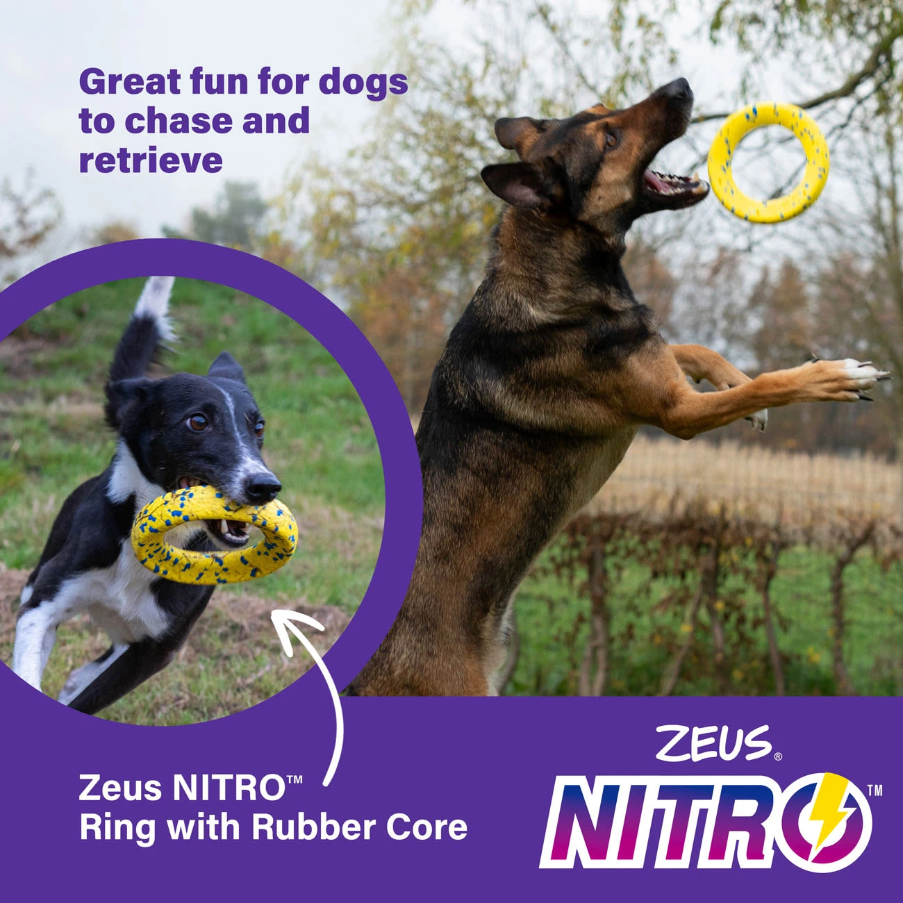 Zeus Nitro Weighted Ring Dog Toy 5 Zeus Nitro Weighted Ring Dog Toy - Image 5