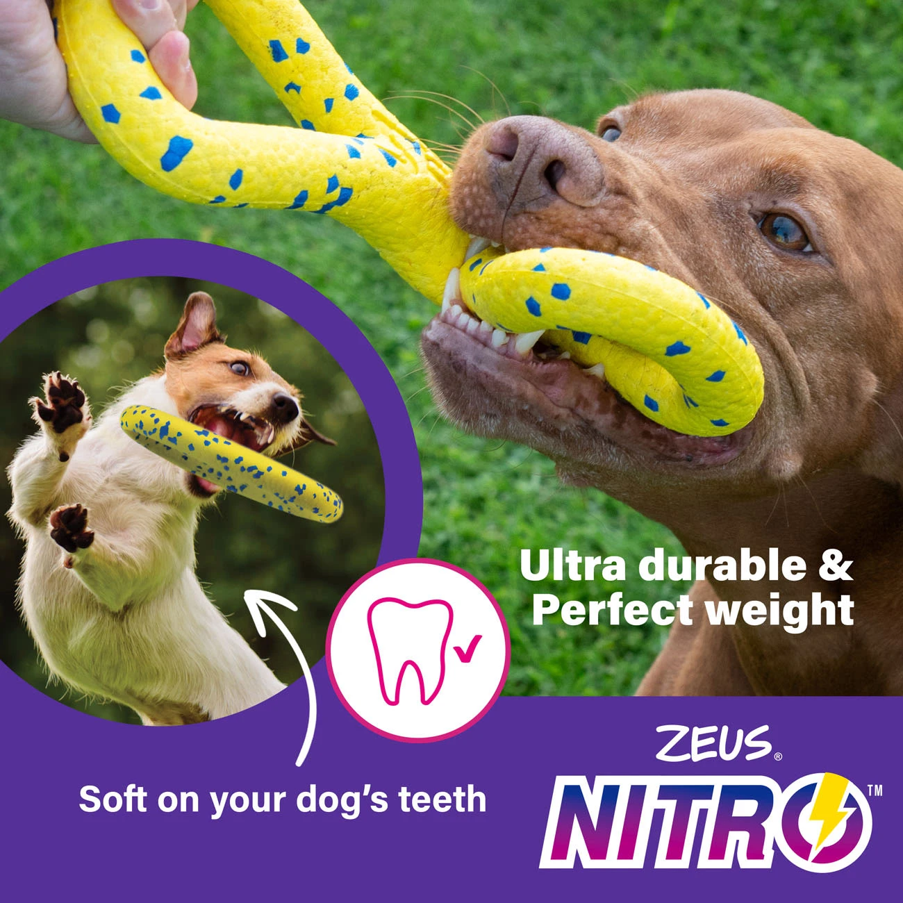 Zeus Nitro Weighted Ring Dog Toy 6 Zeus Nitro Weighted Ring Dog Toy - Image 6