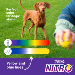 Zeus Nitro Weighted Ring Dog Toy 16 Zeus Nitro Weighted Ring Dog Toy -Pet Supplies I9724347 en 08