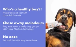 DotDotPet Double Coat Deshedding Dog Shampoo -Pet Supplies I9724441 en 05