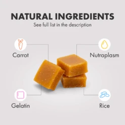 DotDotPet Multifit Multivitamins Cat Gummies -Pet Supplies I9724447 en 03