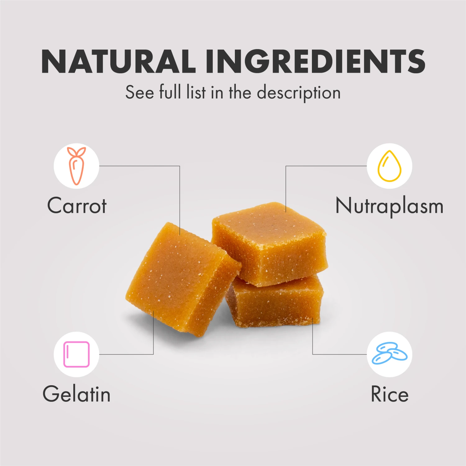 DotDotPet Multifit Multivitamins Dog Gummies 2 DotDotPet Multifit Multivitamins Dog Gummies - Image 2