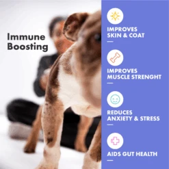 DotDotPet Multifit Multivitamins Dog Gummies 8 DotDotPet Multifit Multivitamins Dog Gummies -Pet Supplies I9724448 en 04