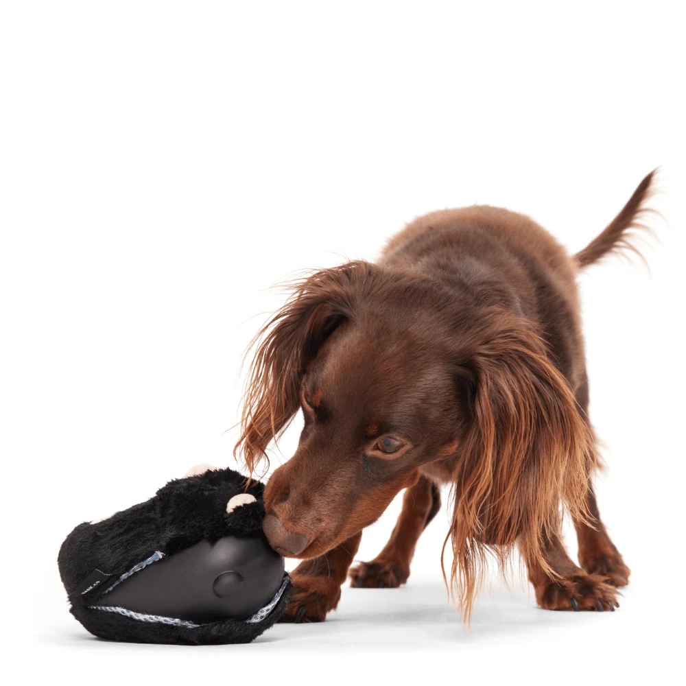 BARK Black Bear Bones Dog Toy 2 BARK Black Bear Bones Dog Toy - Image 2