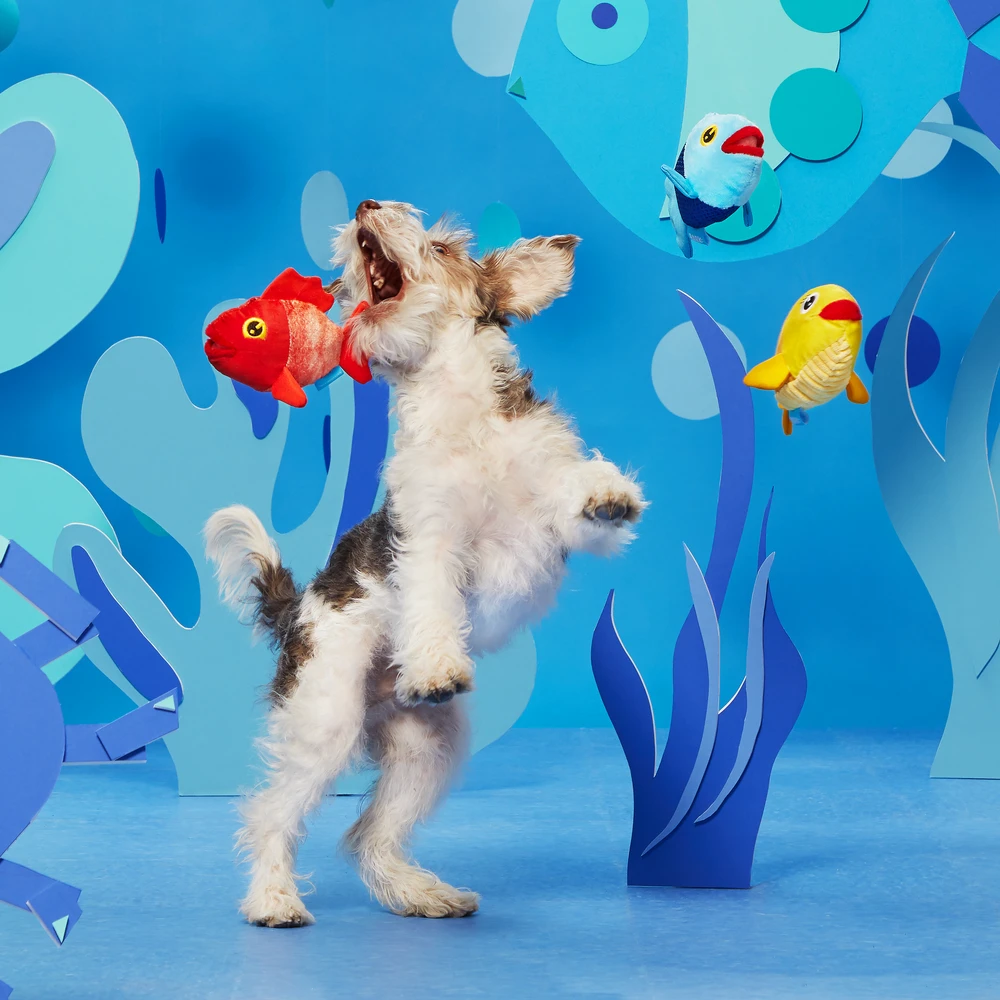 BARK The Groupers Dog Toy 3 BARK The Groupers Dog Toy - Image 3