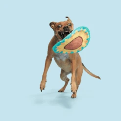 BARK Sunflower Flinger Dog Toy -Pet Supplies I9735413 en 03