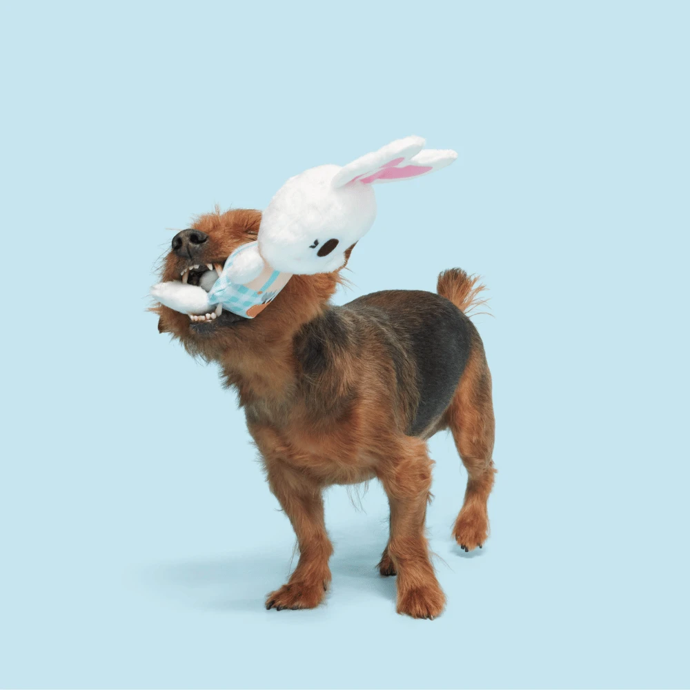 BARK Green Thumb Bun Dog Toy 3 BARK Green Thumb Bun Dog Toy - Image 3