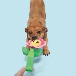 BARK Penny Pechewnia Dog Toy -Pet Supplies I9735415 en 03