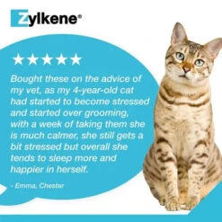 Zylkene® Calming Supplement For Cats And Dogs -Pet Supplies a1510e68470fabd81c9f872253dfbda9ba8ff533dad419d18e82ce3035607497