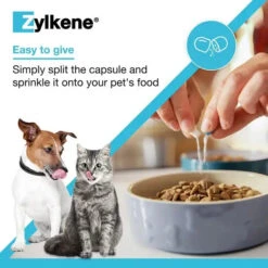 Zylkene® Calming Supplement For Cats And Dogs -Pet Supplies a4345c00fe45d85c51769da66b8dfe440d2ef53e09e8de66f3215bbc52d1db72