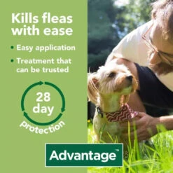 Advantage 100 Spot On Dog Flea Treatment For Dogs -Pet Supplies advantage 100 spot on flea control medium dog 6z7o jpg