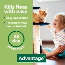 Advantage 40 For Small Cat, Dog & Rabbits Up To 4kg 7 Advantage 40 For Small Cat, Dog & Rabbits Up To 4kg -Pet Supplies advantage 40 spot on flea control cats small dogs and rabbits g17c