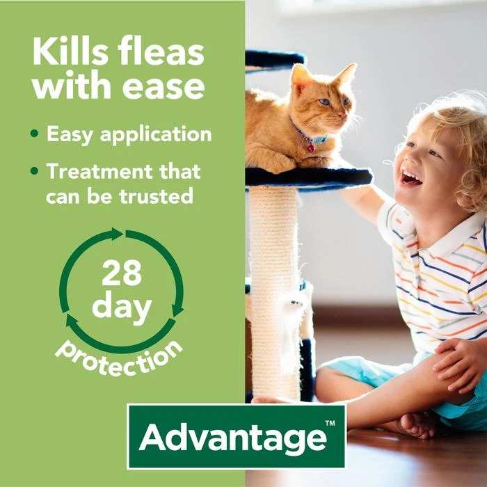 Advantage 40 For Small Cat, Dog & Rabbits Up To 4kg 3 Advantage 40 For Small Cat, Dog & Rabbits Up To 4kg - Image 3