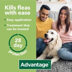Advantage 400 Spot On Dog Flea Treatment For Dogs - 4 Pipettes 10 Advantage 400 Spot On Dog Flea Treatment For Dogs - 4 Pipettes -Pet Supplies advantage 400 spot on flea control extra large dog giq6