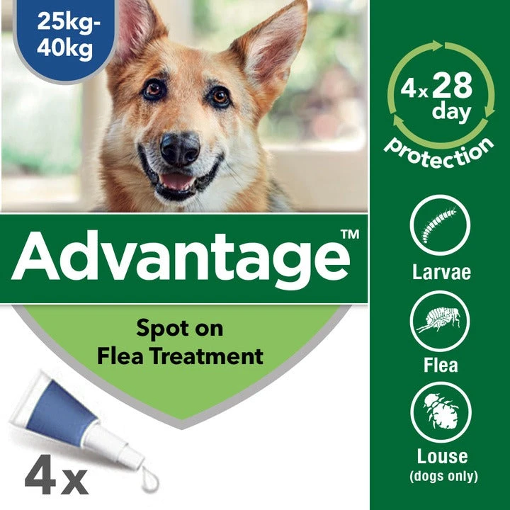 Advantage 400 Spot On Dog Flea Treatment For Dogs - 4 Pipettes 2 Advantage 400 Spot On Dog Flea Treatment For Dogs - 4 Pipettes - Image 2