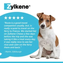 Zylkene® Calming Chews For Dogs -Pet Supplies b0760e1bbd14a868dc6fbf27880d8120b3e1bb3c2273cfdab61b4310c2edb925
