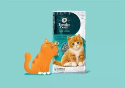 Breeder Celect Recycled Paper Cat Litter 9 Breeder Celect Recycled Paper Cat Litter -Pet Supplies breeder celect cat litter r751 jpg