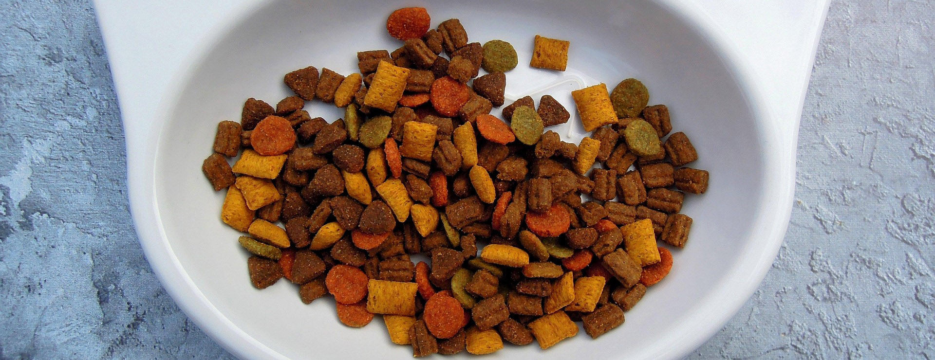 Pet Supplies -Pet Supplies cat 2170494 1920