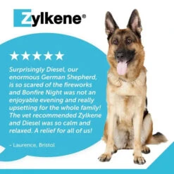 Zylkene® Calming Chews For Dogs -Pet Supplies dbe8839fd998780a0c4356cafe4424fc3197244bddd043c6d606bed2523b79bd