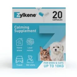 Zylkene® Calming Supplement For Cats And Dogs -Pet Supplies digital toolkit zylkene capsules 2000x2000 front view 2000x2000px cat small dog 72dpi