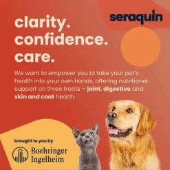 Seraquin® Joint Chewable Tablets For Cats And Small Dogs 800mg (Under 10kg) – Advanced Joint Support -Pet Supplies fa15673097f882acdaa59e6a1010de87a15e390eaf59e28775f159a84f02c3ed