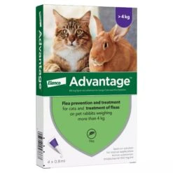 Advantage 80 Spot On For Large Cat & Rabbits (4-8kg)