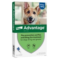 Advantage 400 Spot On Dog Flea Treatment For Dogs - 4 Pipettes 12 Advantage 400 Spot On Dog Flea Treatment For Dogs - 4 Pipettes -Pet Supplies image import 1691058062